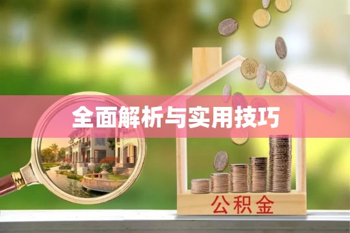 石泉全面解析与实用技巧