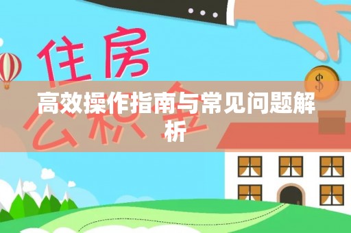 石泉高效操作指南与常见问题解析