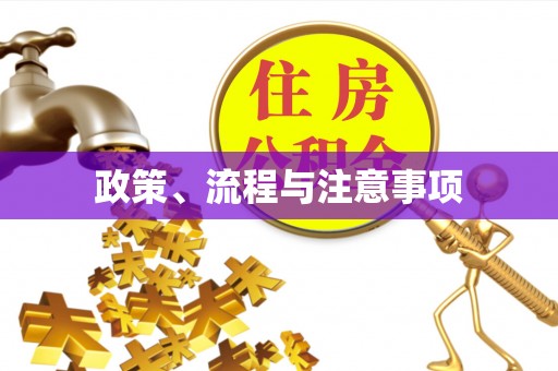 石泉政策、流程与注意事项