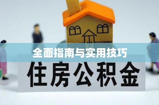 石泉全面指南与实用技巧