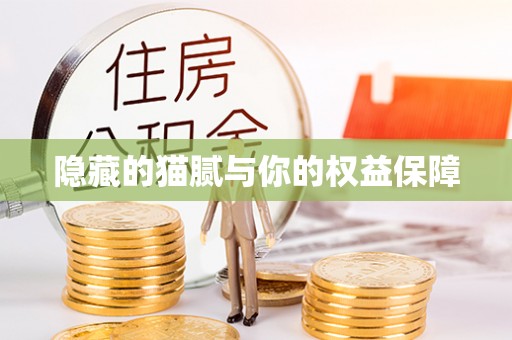 石泉隐藏的猫腻与你的权益保障