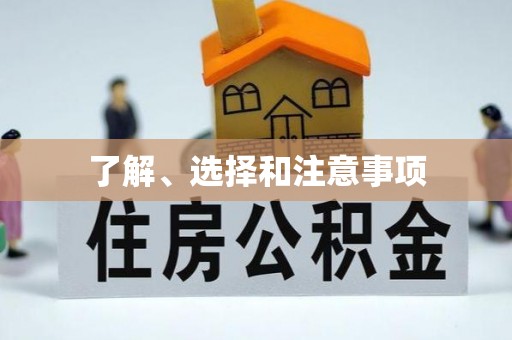 石泉了解、选择和注意事项